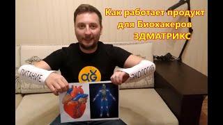 Как работает продукт для биохакеров 3дматрикс.