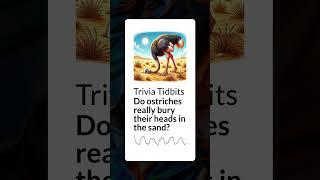 Do ostriches really bury their heads in the sand? | Trivia Tidbits