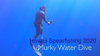 Murky Water Dive | Hawaii Spearfishing 2020