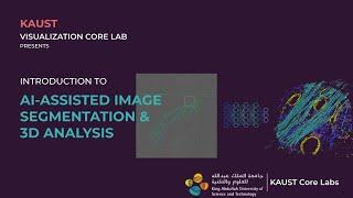 AI Assisted Image Segmentation and 3D Analysis using Avizo and Ilastik