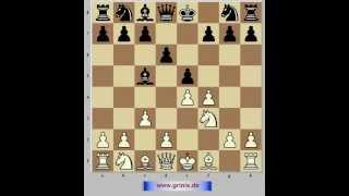 Schach - Eröffnung - Königsgambit 1. Eugen Grinis. Schach