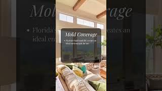 Treasure Coast Home Insurance: Are You Covered for Hurricanes & Saltwater?