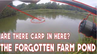 FINDING CARP IN A FORGOTTEN LAKE | NEW CARP FISHING 2022