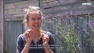 Amy Shelton - Biophilia: The Exeter Florilegium