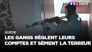 Suède : les gangs règlent leurs comptes et sèment la terreur｜TF1 INFO