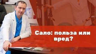 Сало: польза или вред