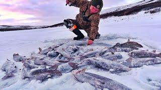 ПЕРВЫЙ ЛЁД!! И ТОННЫ РЫБЫ В ВОДЕ!!!НОЧЁВКА НА ГОРНОЙ РЕКЕ!!!