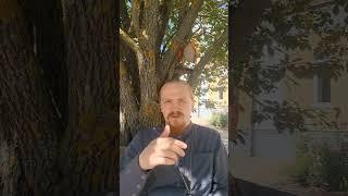 будут крепкие семьи и страна будет крепкая