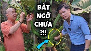 ⭕️ CHUYỆN CHƯA BIẾT VỀ CỦ BẠC HÀ NÚI ( May Thầy Phước Chủ )