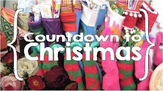 Countdown to Christmas ║ Mills Family Christmas │ Large Family Vlog