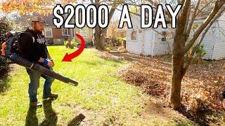 How To Make $2000 A Day Removing Leaves From Peoples Yards