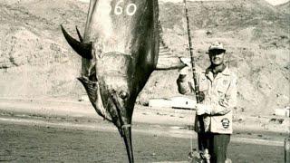 Top 5 BIGGEST FISH Ever Caught