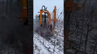 Pruning Season 2024 in Germany || Pre-Pruner VSL 07P || #vineyard #prunning #shorts