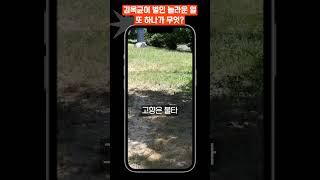 김옥균이 벌인 놀라운 일 또 하나가 무엇? #김옥균 #고종 #공주