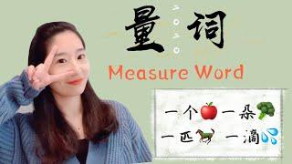 量词 Measure Word|中文学习|中文基础语法|日常量词用法