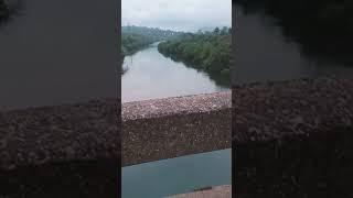 koyna river #shorts #ytshorts #nature