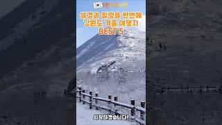 꼭 가봐야할 강원도 겨울 여행지 BEST5 | 1분한국여행 , 여행지추천 , 국내여행