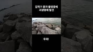 김작가 혼자 말라카에서 촬영하다 ... 목숨 잃을뻔