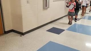 Perfect Attendance Parade 2019