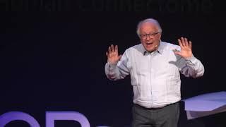 The first 1000 days of life | Sergio Pecorelli | TEDxHECParis