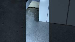 Приемка квартиры в новых корпусах с отделкой в ЖК #ЛЮБЕРЦЫ от застройщика Самолет #проф #новостройки