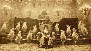 The First "Film" Ever Made In History  (Shocking History)