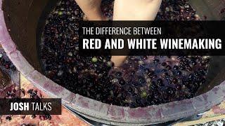 Josh Talks: The Difference Between Red and White Winemaking
