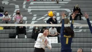 Guelph Gryphons Men's & Women's Volleyball Highlights