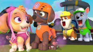 Paw Patrol Ultimate Rescue || SKYE x ZUMA without Liberty || VERY SAD Story | Rainbow 3