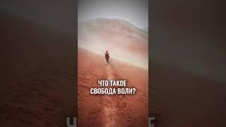 Что такое свобода ВОЛИ ? #аланмамиев #пробуждение