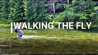 Secret River Technique REVEALED!  Fly Fishing Tips & Techniques - Fly Fishing Rivers for Beginners