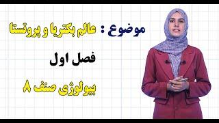 بیولوژی صنف ۸ | فصل اول | درس ۴ | عالم بکتریا و پروتستا