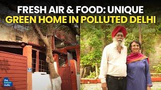 Fresh Air & Food: Unique Green Home In Polluted Delhi