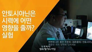 안토시아닌은 시력에 어떤 영향을 줄까? 실험   - (2011.12.24_395회 방송)_자연이 준 선물, 제철음식 5편 - 검은콩