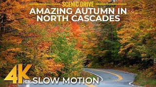 4K HDR Autumn Roads in North Cascades - Scenic Fall Foliage Drive in Slow Mo + Real Sound & Music