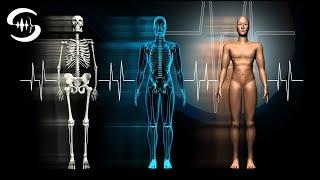 Whole Body Healing Frequency - Whole Body Regeneration - Healing Music