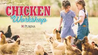 Grange Co-op: Virtual Chicken Seminar