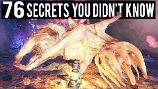 76 Secrets You Probably Didn't Know Existed in Fallout 76