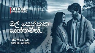 මල් පෙත්තක යාන්තමින් | Manoparakata Sindu | Cover | Sinhala Songs 2024