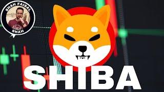 Shiba Inu SHIB Price Prediction 28 November 2024