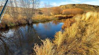 What many days are really like (fly fishing)