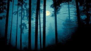 Relaxing Sleep Music - Twilight Moon | Soothing, Peaceful, Magical 71