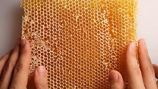 ASMR Most Satisfying Honeycomb Triggers  ASMR 재료는 벌집꿀로 하겠습니다. 근데 이제 밀랍랩을 곁들인.