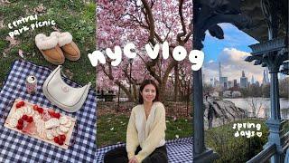 life in nyc vlog  spring days in central park, cherry blossoms + magnolias,  charcuterie picnic