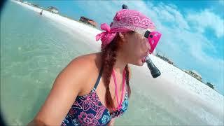 FINALLY a new video!!! Snorkeling for shells in Navarre Beach, FL August 2020