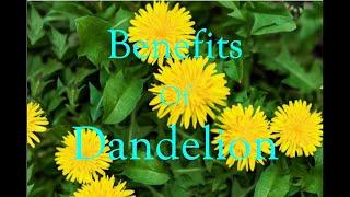 How To Do A Liver Cleanse w/Dandelion Tea