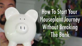 Start and Grow Your Houseplant Collection On A Budget | Beginners Guide To Indoor Plants