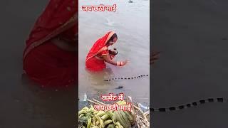 #Jay chhathi mai #chhath #puja #trending #video #viralvideo  new video 2025