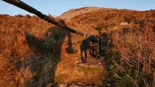 Run to an Iron Age Hill Fort with the Trail Dog for your 16 Minute Warmup/Cooldown Treadmill Run