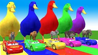 5 Giant Duck Cartoon,Cow,Zebra,Elephant,Tiger,Lion, Paint Wild Animals Crossing Fountain Animation